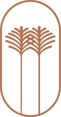 Skyline OC Logo Brown