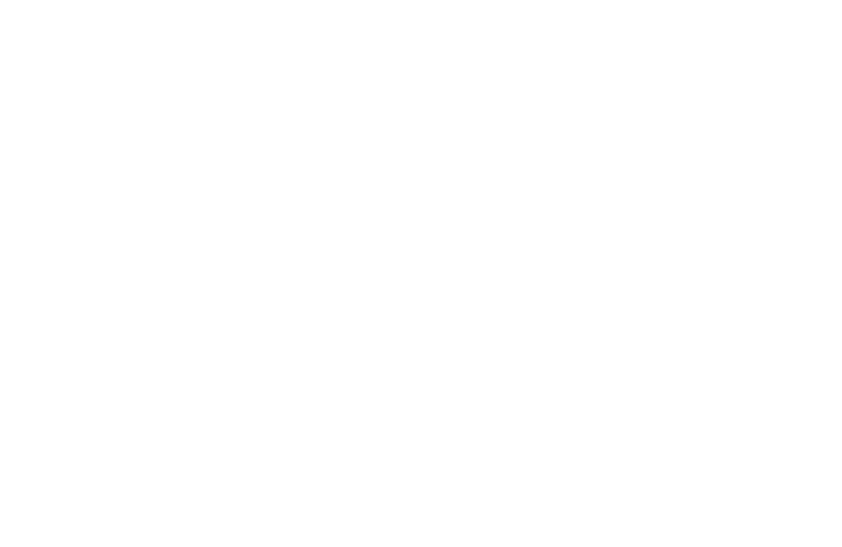 Skyline OC Logo White